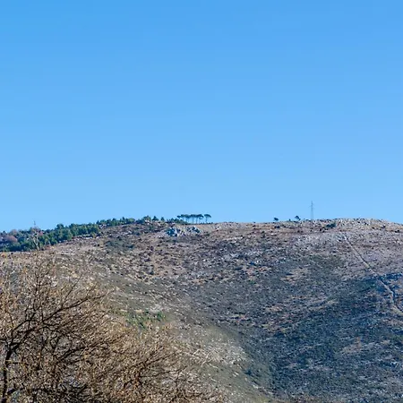 Apartamento Cozy In 36 M² Sea And Garden View *