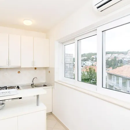 Apartment Seaside Terrace Apartment: Beachfront Comfort With Wi-fi Dubrovnik