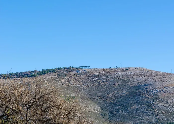 Lägenhet Cozy In 36 M² Sea And Garden View *